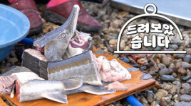 메코이, ‘에라 모르겠다’ 채널 오픈…웹예능 ‘드려보았습니다’ 18일 첫 공개
