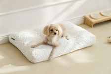 웰크론, 닿자마자 시원한 ‘쿨쿨아이스 냉감 펫방석’ 출시