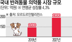 동물병원 댕댕이 처방 약, 나도 병원서 처방받은 약?