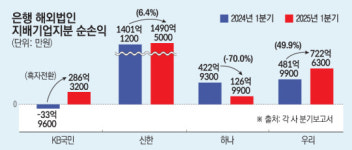4대 은행 해외법인 순익 15%↑…국민·신한銀, 인니·베트남 지점 10곳 신설