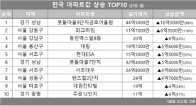 [아파트값 상승 톱10] 경기 성남시 ‘봇들마을9단지금호어울림’ 등