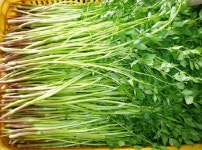 졸음 쓰나미 춘곤증 대처법은?