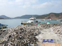 진해로 석화(石花) 구경 오세요