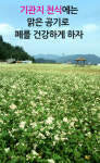 기관지 천식 환자의 적, 기침과 가래