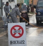 구제역 종식선언 보름만에 재발생