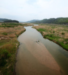 강가 안 살아보고 4대강 반대? 말도 안돼
