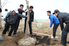 이포에 12km 가로수길 절경 만든다