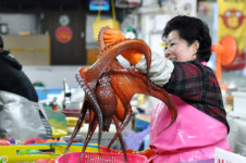 <시장에서 먹자> 오징어의 바다...회는 다 싱싱해