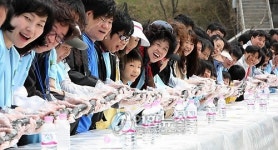 대구 수성구, 1020m 김밥말기! 한국 기네스북 도전