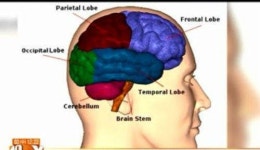 [지식발전소] 미래 이끌 10대 신기술 [뉴로 마케팅]