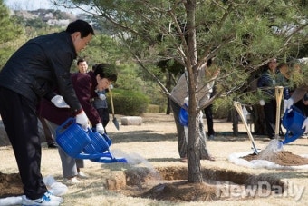 [포토]朴대통령 식목일 기념식수, 정이품송 후계목 심어