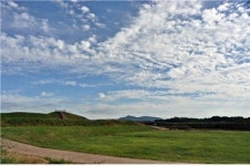 LH, 역사현장서 통일의 꽃 활짝