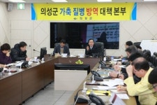 의성군, 모돈 142 두수 살 처분 후 매몰