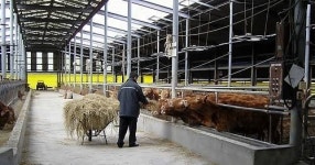 축산농가 상속공제 축사·창고 포함 5억까지 확대