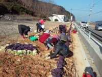 남해군 고현면 천동마을, 제2새마을운동 열기 ‘후끈’