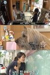 나 혼자 산다 황석정, 미용하는 반려견 보며 극성 엄마 코스프레 역시 개덕후