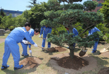 포항제철소, 포스코명장 기념식수 행사 가져
