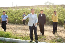 최양식 경주시장,  KBO 야구대회 시설 현장점검