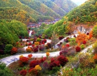 단양소백산자락길 힐링 트레킹 코스로 각광