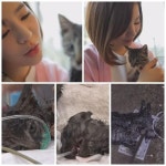 동물농장 써니, 길고양이 나비 엄마된 사연은?