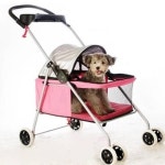 멍멍아 스파하자··· 애완용품 전성시대, 2020년 6조 시장