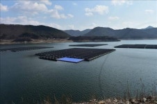 포스코, 초고내식 합금도금강판 보령댐 수상태양광발전소에 적용