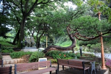 마사회 렛츠런파크 서울 11일 개방 …1.4km 숲길 새단장