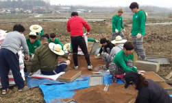 [포토] 농촌 일손 돕는 서울과학기술대 학생들