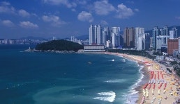 부산 7개 해수욕장, 수질기준 해수욕 적합 판정