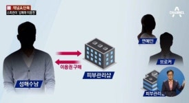 유명여가수 A씨, 피부관리실서 스폰서 면접 後 성매매