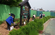 서울 대방초교, 자투리 공간에 주말농장 운영