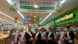 영천시, 복숭아 판매촉진 위한 직판행사 실시