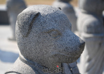 [오늘의 운세] 개띠 58년생, 돈벼락 맞는다.. 돼지띠, ㅇ·ㅎ 성 가진 사람 주의하라