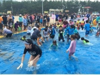 장사해수욕장 문화관광체험행사, 피서객 호응 성료