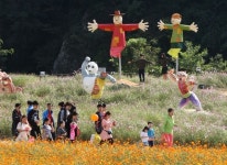 청원생명축제, 관람객 만족 ‘최우선’으로