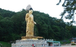 [이슈] 속리산 법주사…‘옛 명성’ 되찾을까?