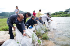 청송군 내수면, 토종 어자원 109만미 방류