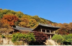영동관리역, ‘영주부석사 단풍 기차여행’ 운행