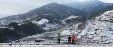 AI 여파…함양군, 제야 타종식·해맞이 행사 전면 취소