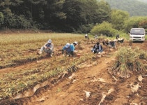 단양군, 밭기반 정비 등 33억8400여만원 ‘투입’