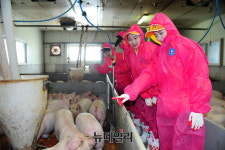 [포토] 한돈자조금, 깨끗하고 아름다운 한돈 농장 함께 만들어요