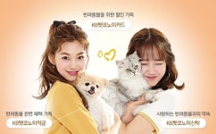 KB금융 ‘일코노미’ 이어 ‘펫코노미’…계열사 합심한 이색상품 눈도장