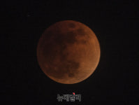 [포토] 서울에 떠오른 블러드문