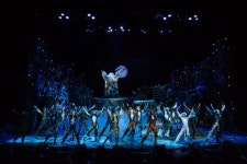 굿바이 캣츠 내한공연, 브래드 리틀 한국 관객 최고