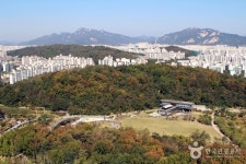 우리집 앞마당은 대형공원… 공세권 아파트 인기