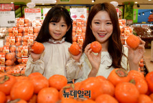 [포토] 롯데마트, 24일까지 청도홍시 판매