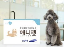 삼성화재, 반려견보험 신상품 애니펫 출시 