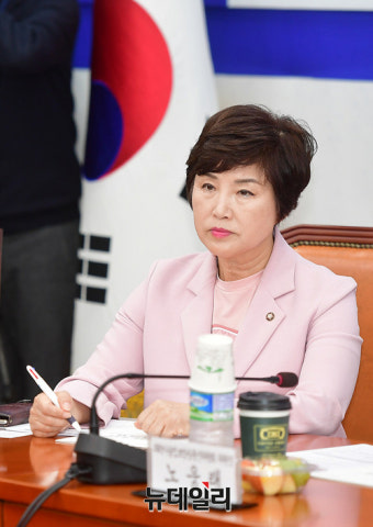 [포토] 더불어민주당 전혜숙 여성가족위원회 위원장