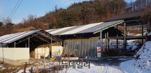 “마닷 부모 빚 갚아야…보증섰던 사람들 큰 고통 겪어”