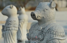 [오늘의 운세] 돼지띠, 사소한 일에 목숨 걸면 손해...휴식은 약